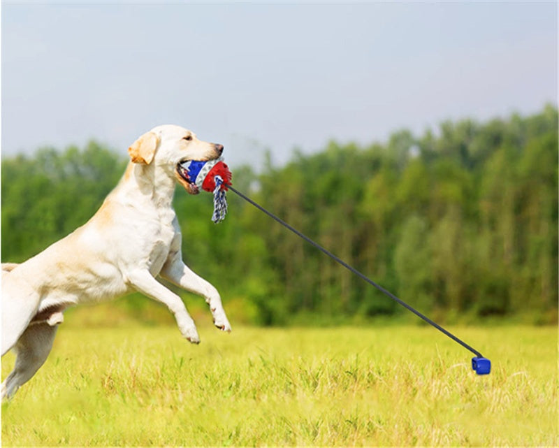 Dog Bite Resistant Outdoor Rope and Ball Toy