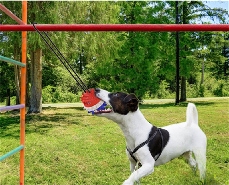 Dog Bite Resistant Outdoor Rope and Ball Toy