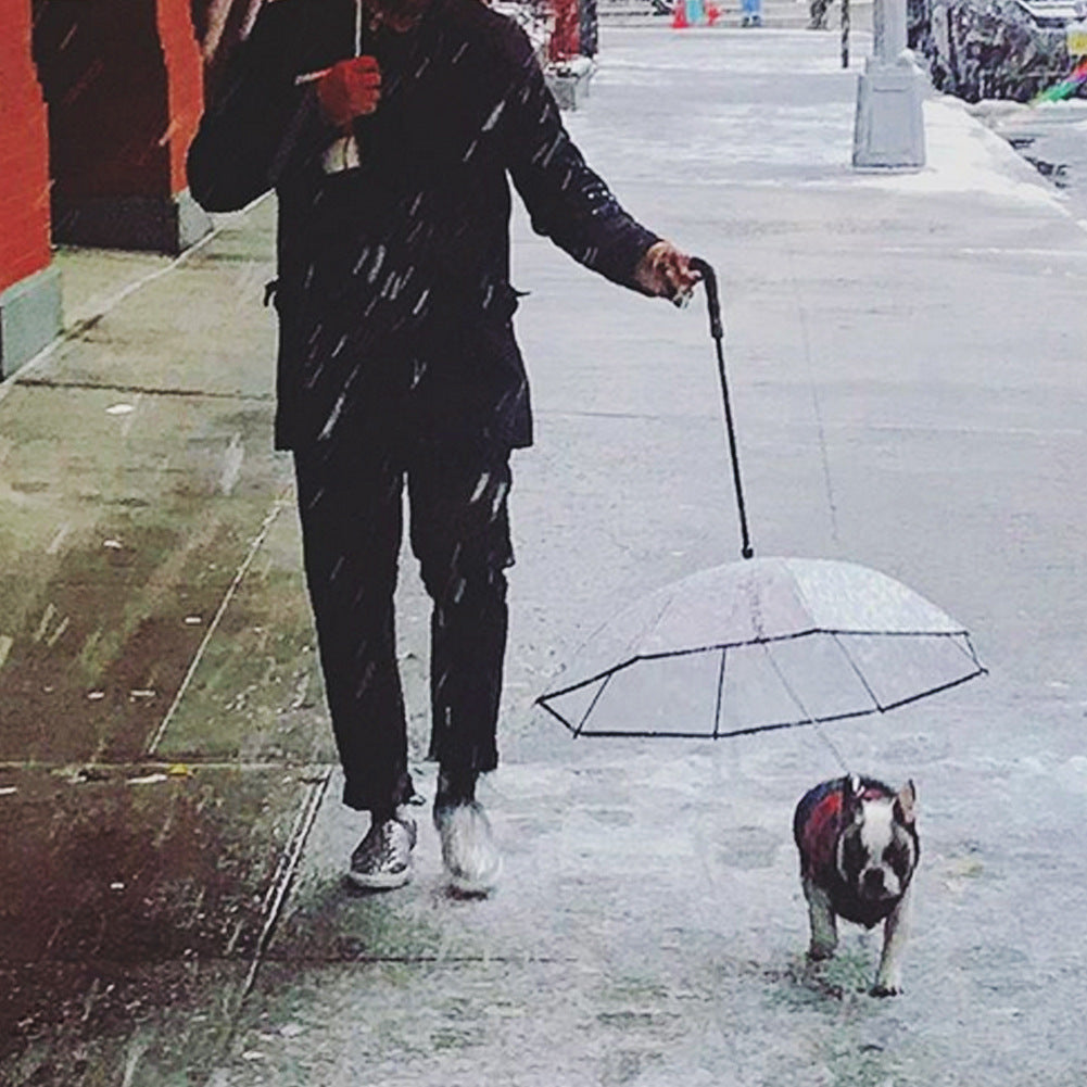Dog's Transparent Umbrella leash