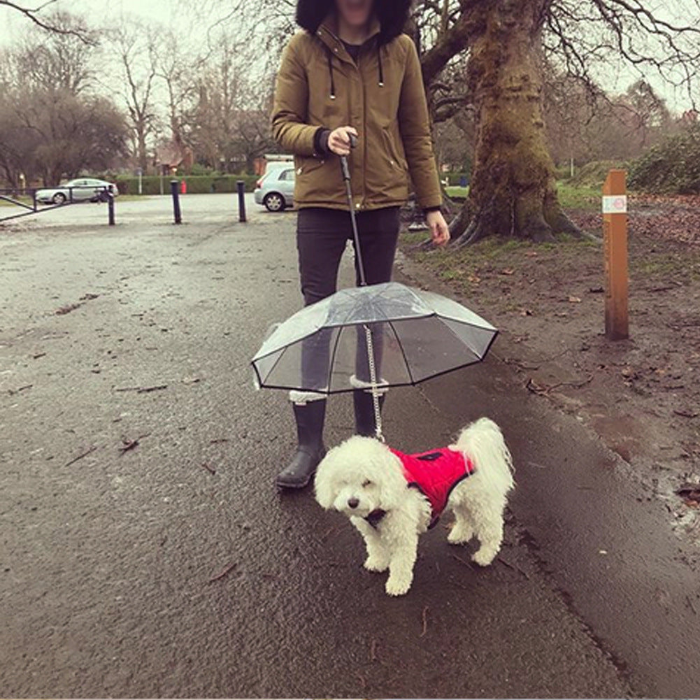 Dog's Transparent Umbrella leash