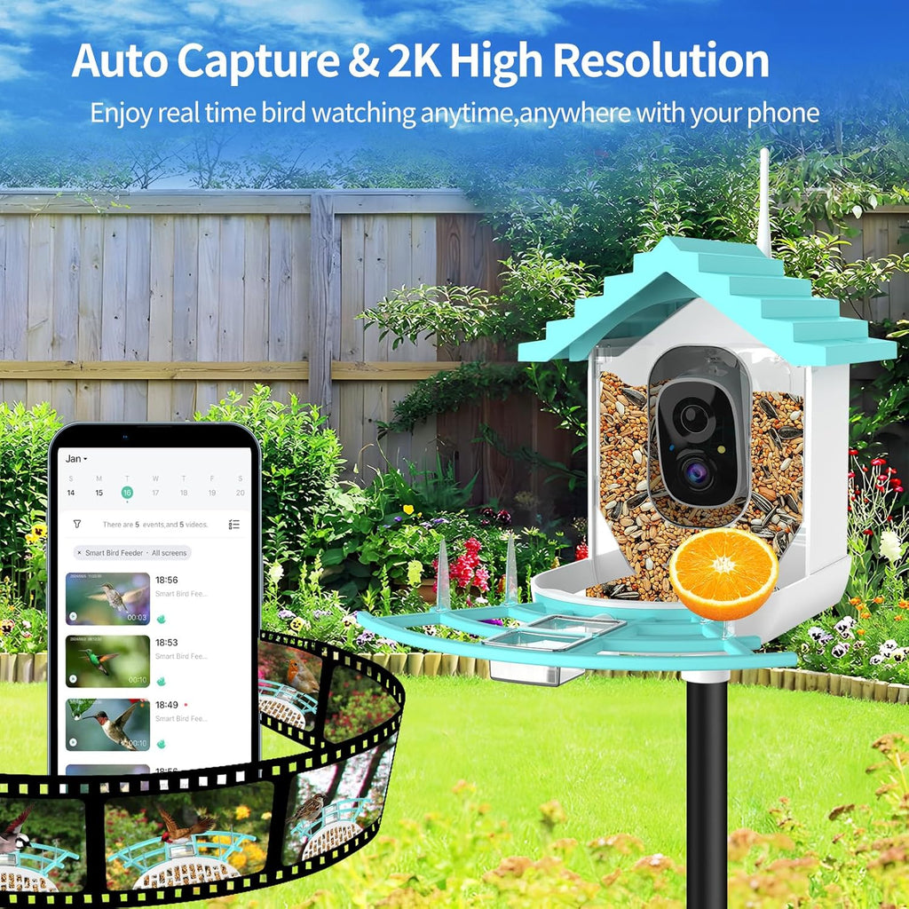 Bird Feeder With Camera