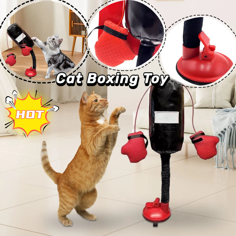 Cat Punching Bag Toy Interactive