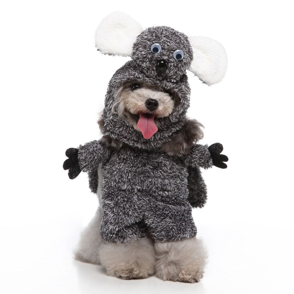 Pet Clothing Characters