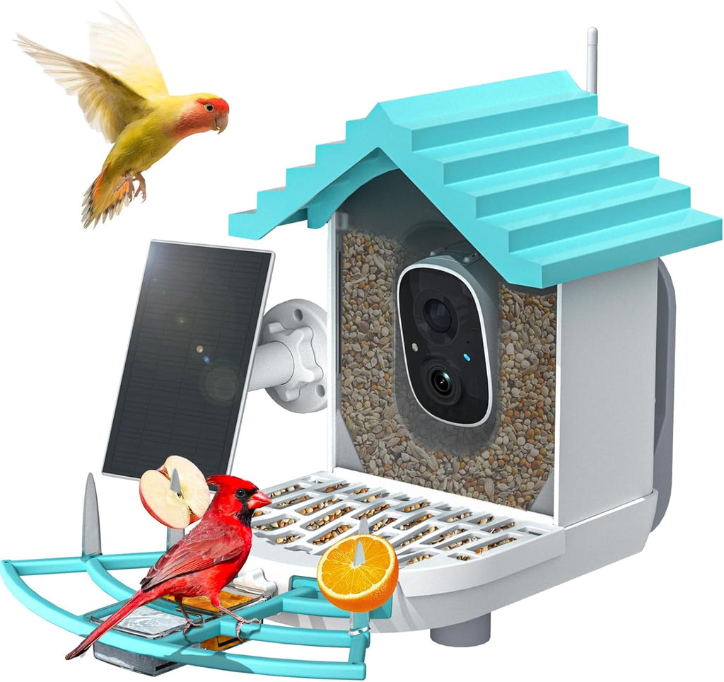Bird Feeder With Camera