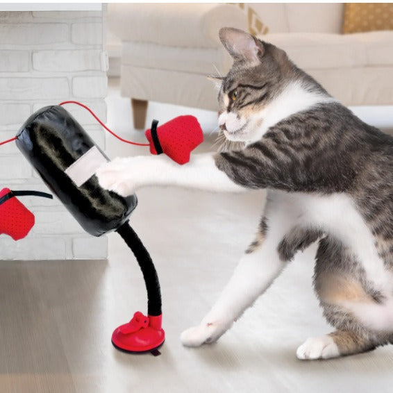 Cat Punching Bag Toy Interactive