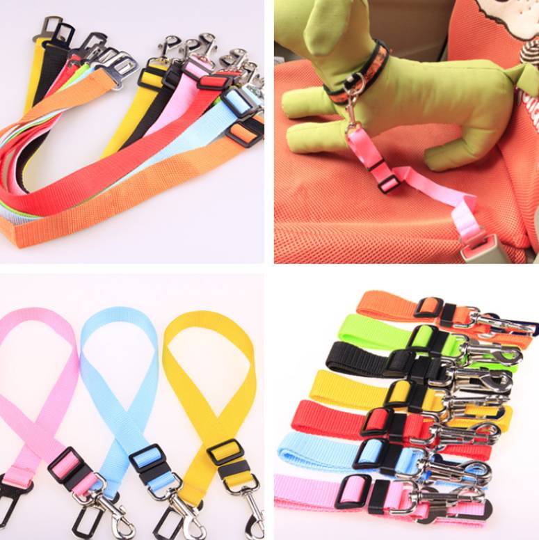 Seatbelt Strap-in Dog Leash