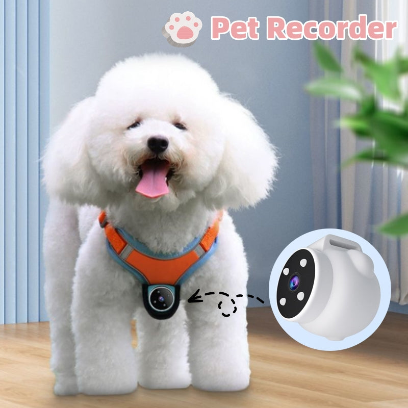 Pets Harness Recorder